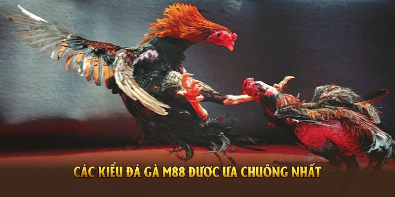 Các kiểu đá gà M88 được ưa chuộng nhất bạn nên biết