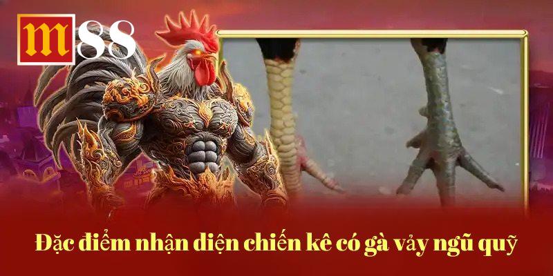 Các cách để nhận diện gà vảy ngũ quỷ nhanh nhất