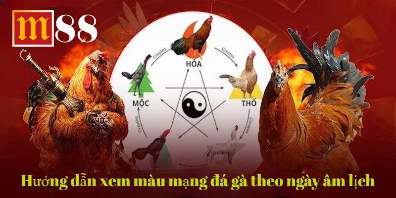 Cách chọn màu mạng gà đá theo ngày âm lịch trong năm