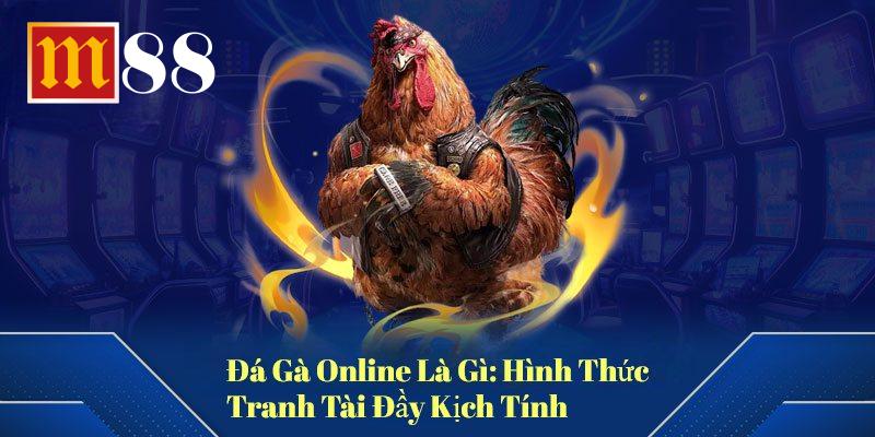 Đá Gà Online Là Gì: Hình Thức Tranh Tài Đầy Kịch Tính