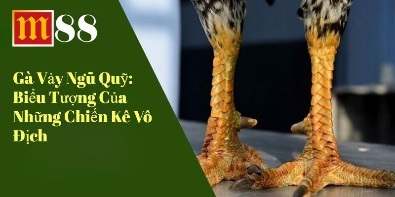 Gà Vảy Ngũ Quỷ Biểu Tượng Của Những Chiến Kê Vô Địch
