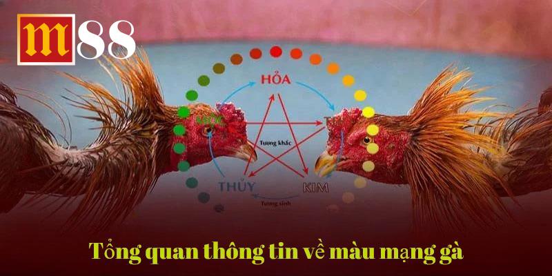 Khái niệm mới nhưng quan trọng khi chọn lựa chiến kê