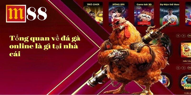 Sảnh thi đấu chứng kiến nhiều phá ra đòn cực hiểm