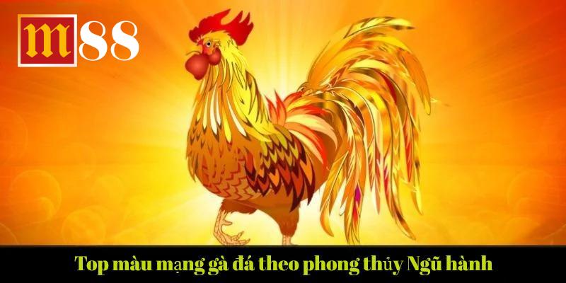 Màu mạng gà đá thường tuân theo ngũ hành