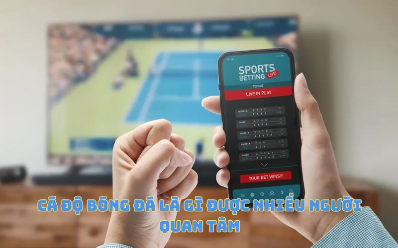 Cá độ bóng đá là gì được nhiều người quan tâm