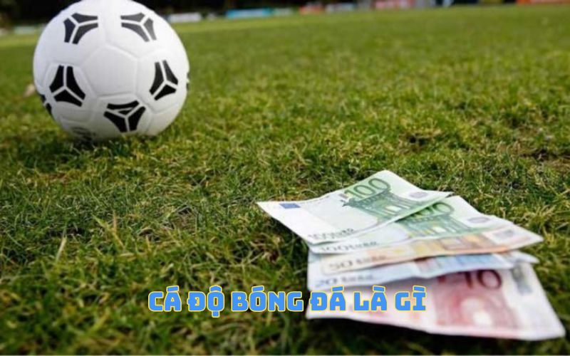 Cá Độ Bóng Đá Là Gì? - Khám Phá Những Thông Tin Cơ Bản Tại M88