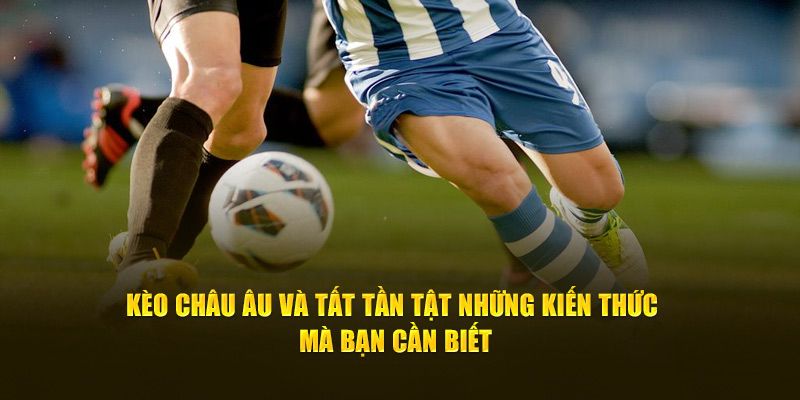 Kèo Châu Âu - Hướng Dẫn Đặt Cược, Thu Bộn Tiền Tại M88