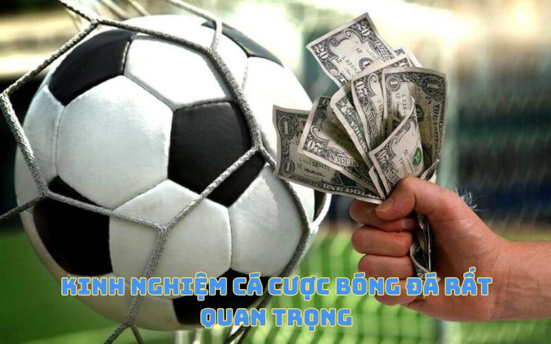 Kinh nghiệm cá cược bóng đá rất quan trọng
