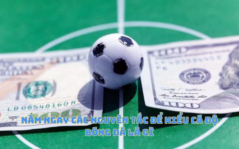 Nắm ngay các nguyên tắc để hiểu cá độ bóng đá là gì