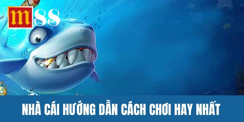 Nhà cái hướng dẫn từng cách chơi hay nhất
