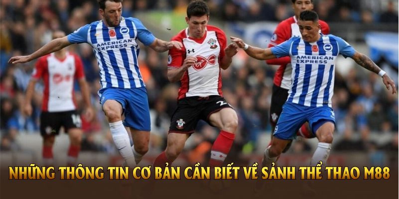 Tổng hợp những thông tin cơ bản cần biết về sảnh thể thao M88