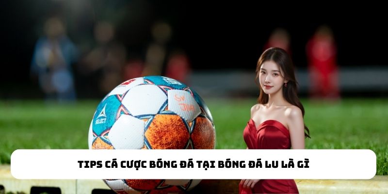 Tips cá cược bóng đá tại bóng đá lu là gì